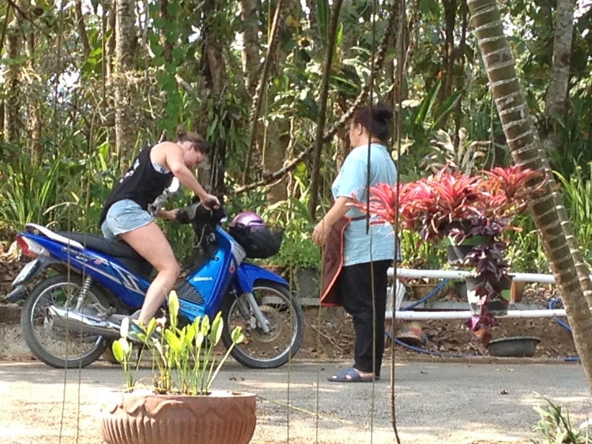 Mae Yao Resort Chiang Rai Luaran gambar